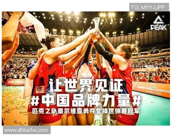 杭州排球队的力量探秘:激情与团结铸就辉煌成就